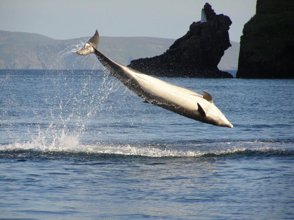 Dingle Skellig Hotel المظهر الخارجي الصورة